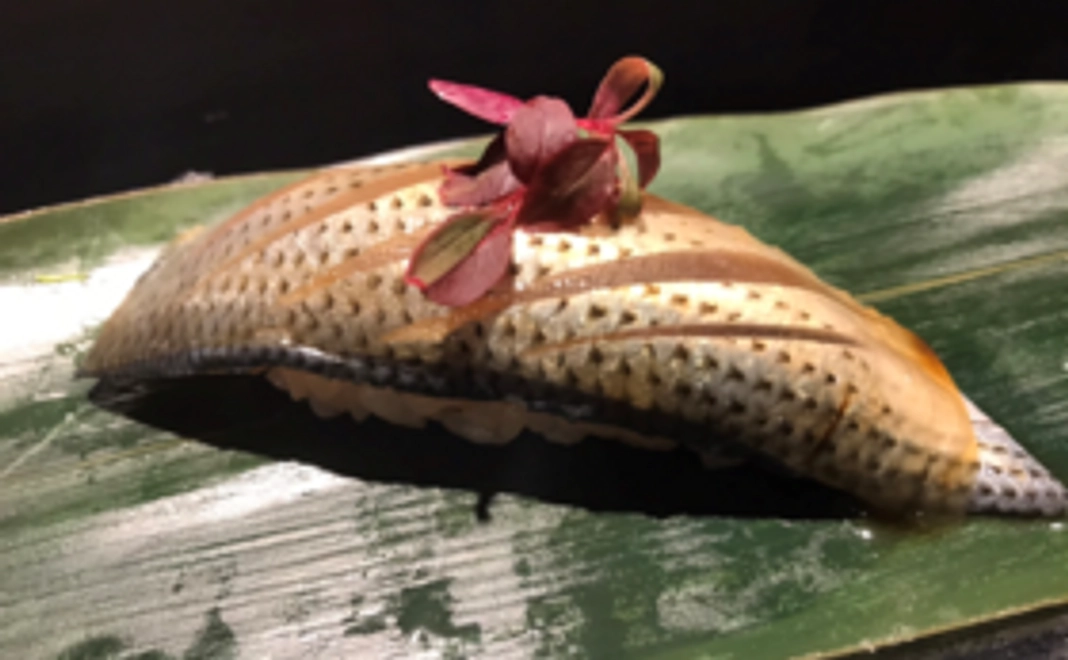 【昼限定】特別コース