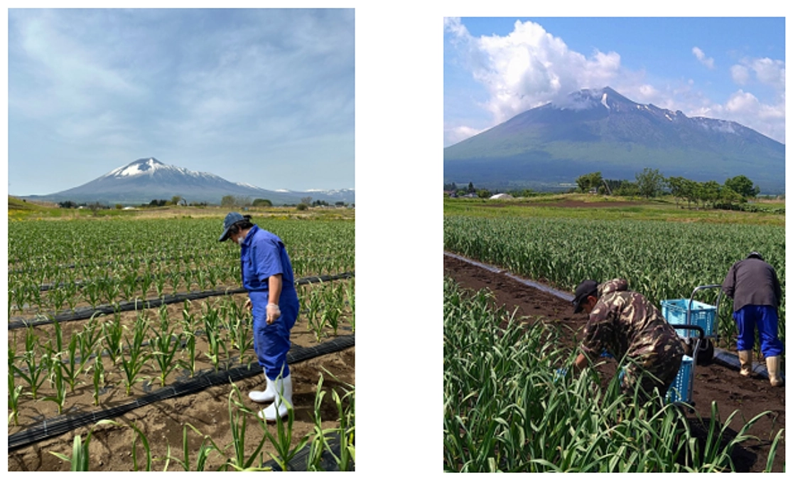 農業を支えてくれている障がい者の皆さんについて