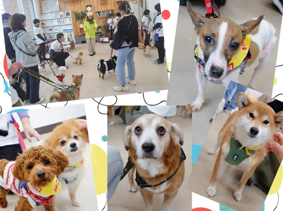 【お見合い会のお礼】もりやま犬と猫の病院様でのお見合い会を開催しました
