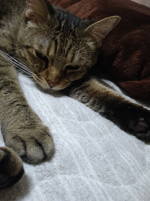 9月10日通院記録〈投薬63日目〉