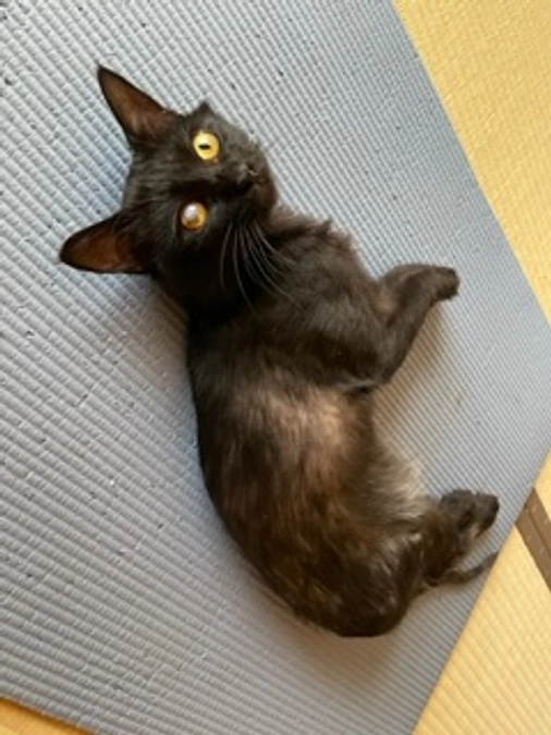 病院にてレントゲン撮影