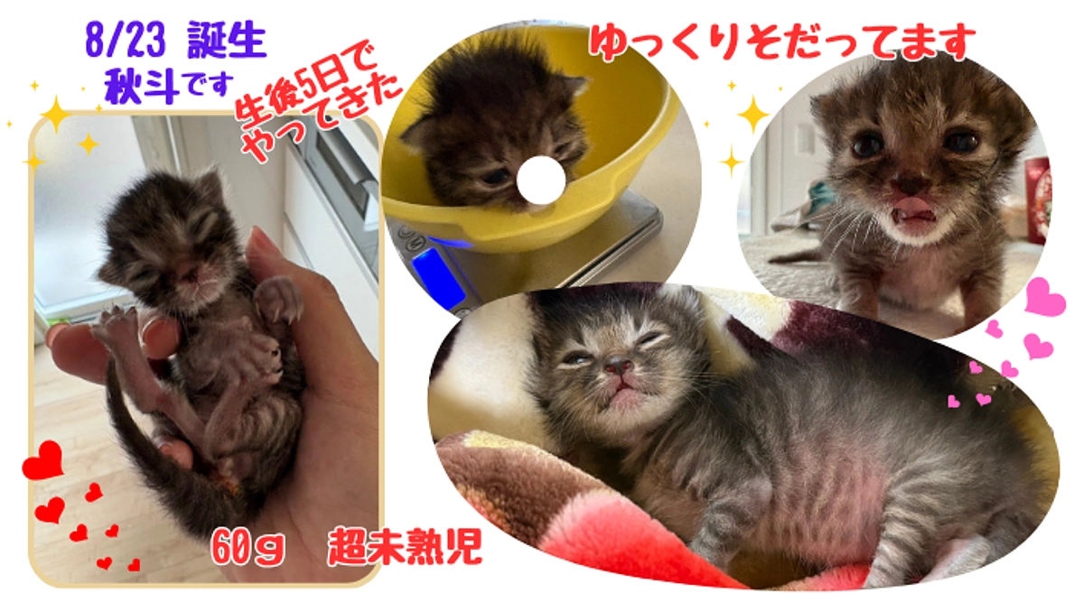 お盆以降　こんなことがありました！