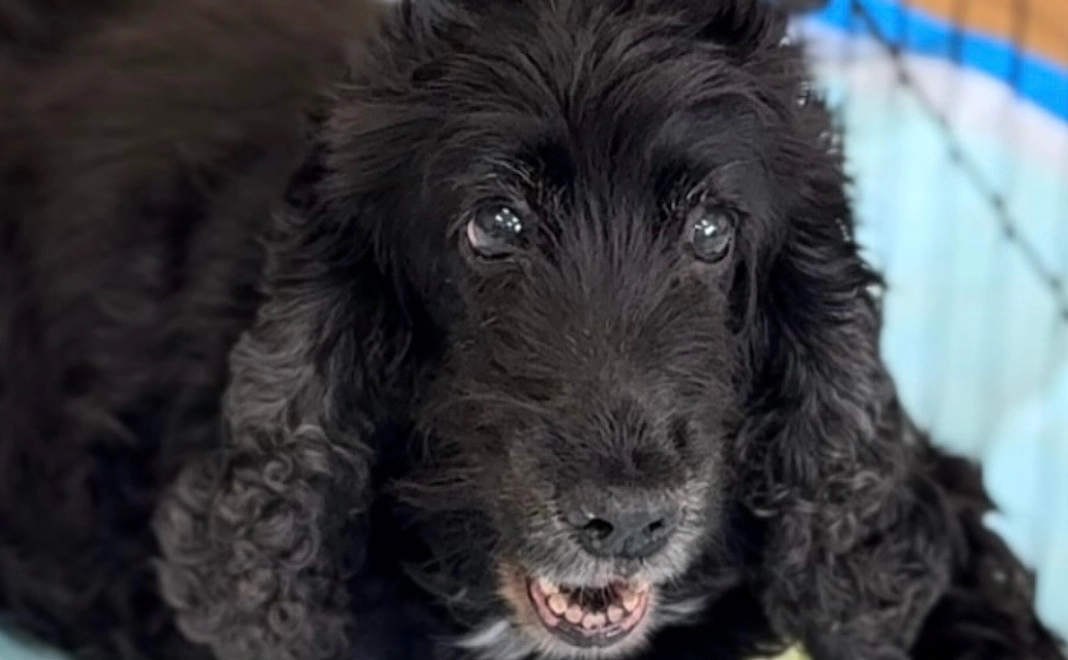 応援コース☆ ６千円