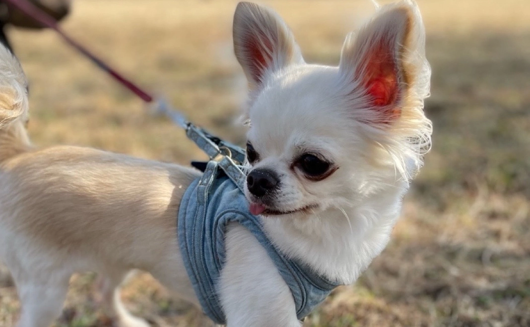 感謝のメールと活動報告100000