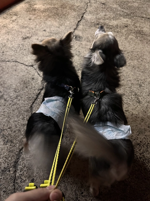 かかりつけの病院に行ってきました🏥💉