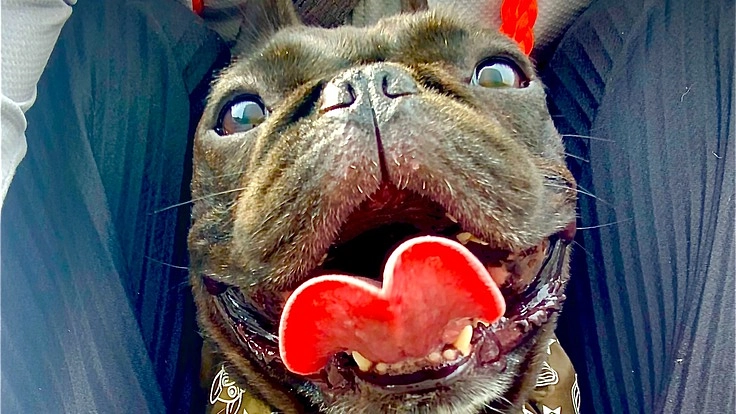 4歳で悪性リンパ腫のしゃちょうくんの命をもう少し助けて下さい!