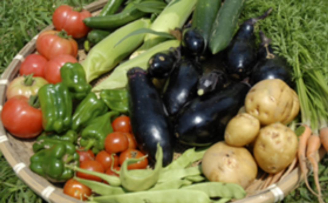 階上産野菜セットをお送りいたします