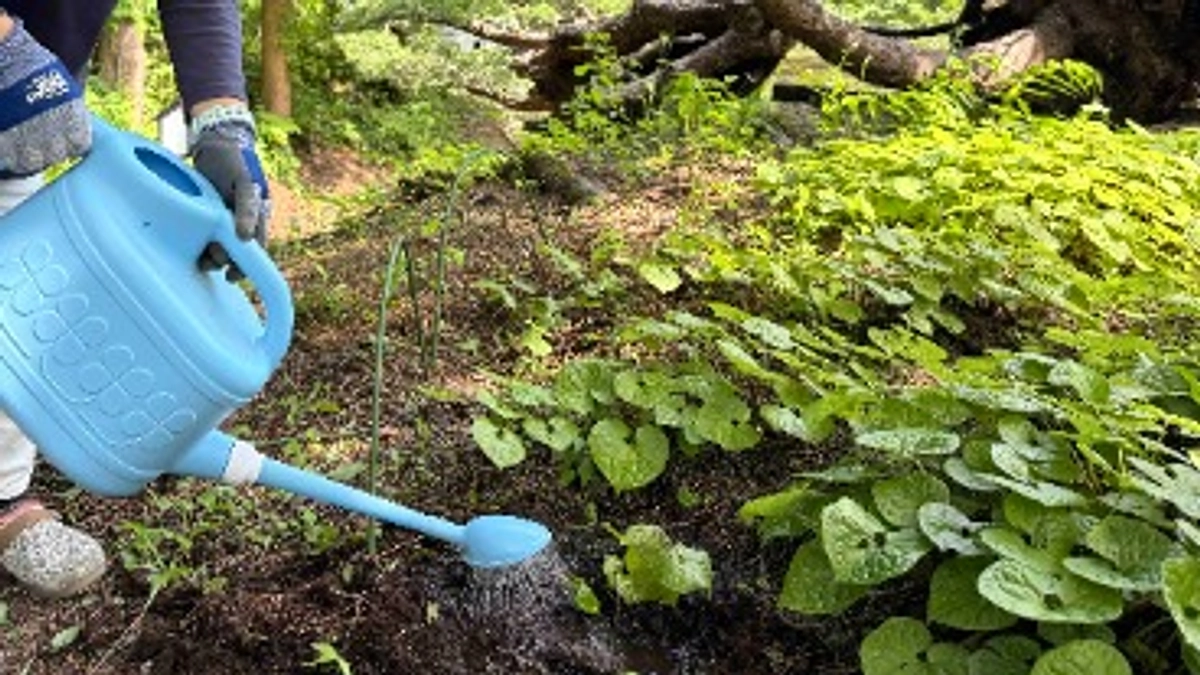 リターンの「二葉葵奉植」「文化財見学ツアー」を実施しました！