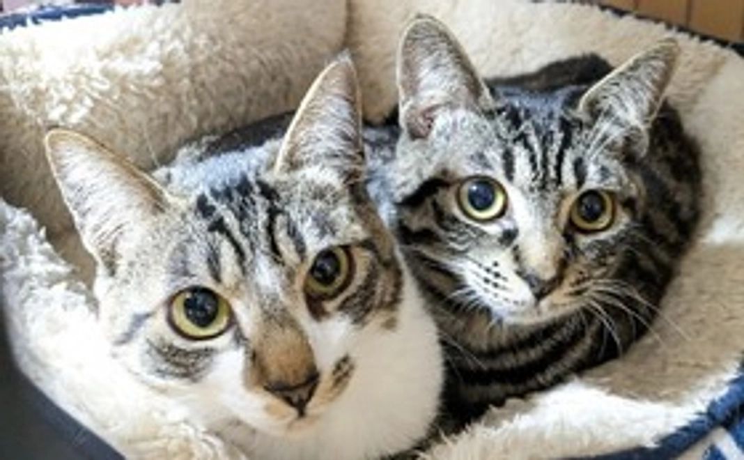 【リターン不要】全力応援｜3千円