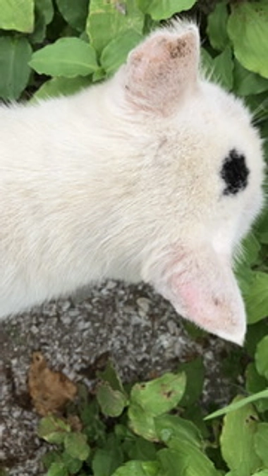 お薬効いてます😊