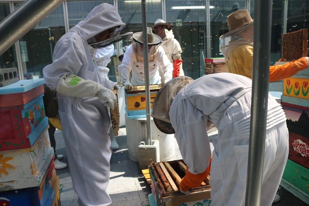 市立札幌大通高等学校　大通高校ミツバチプロジェクト