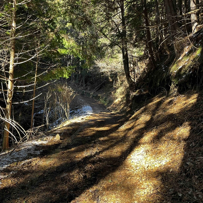 このクラファンは、本当に私たちの日本社会の命運に関わる挑戦です。