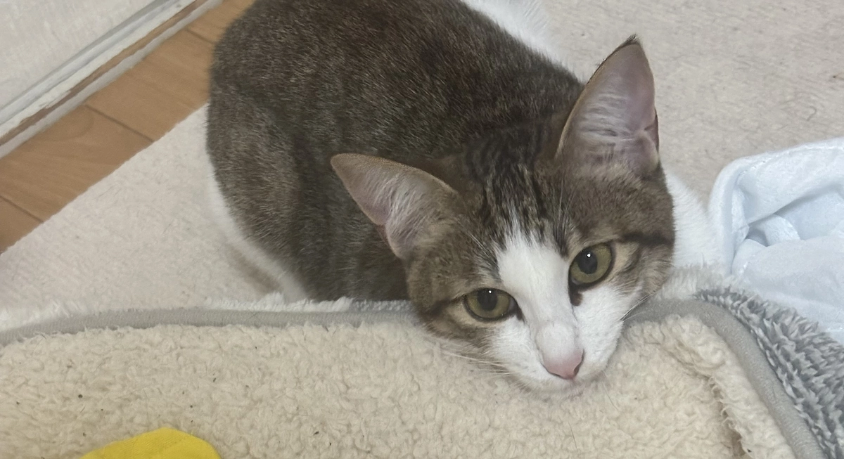 通院5回目のご報告