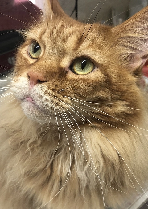 定期検診のご報告です