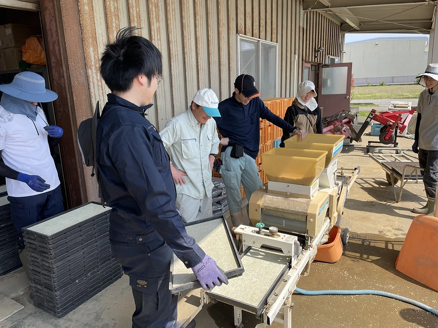 イネの栽培シーズン始まりました！