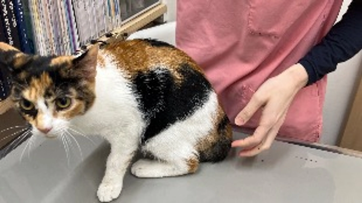 検診に行きました！