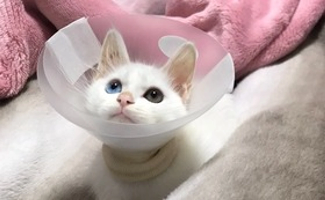 【リターン不要】全力応援｜1万円