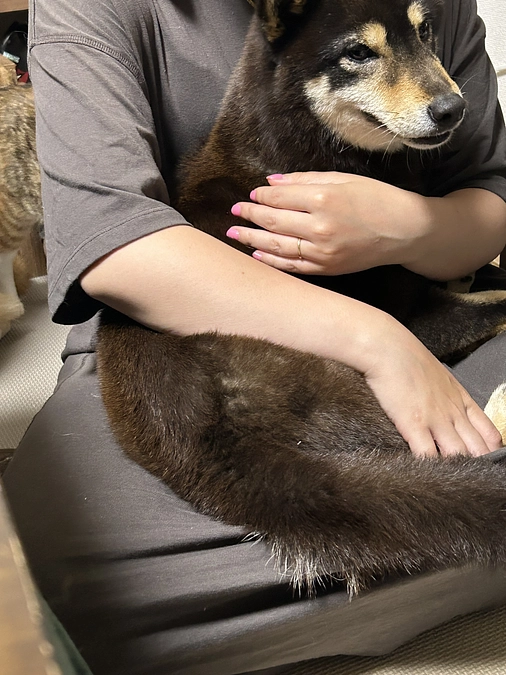 保護犬活動の第一歩へ