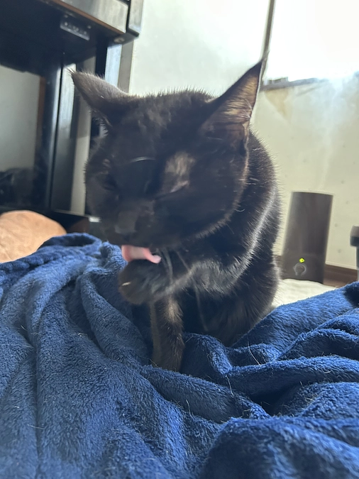 むぅちゃんの治療内容