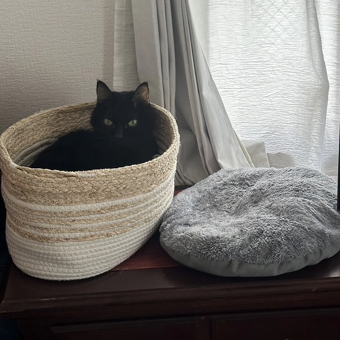 家でのちびと通院報告