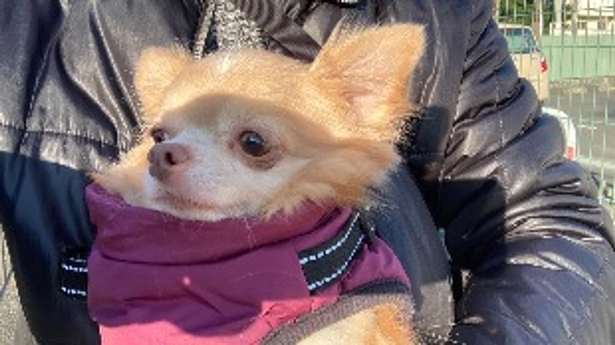 いつもくうちゃんの応援をありがとうございます