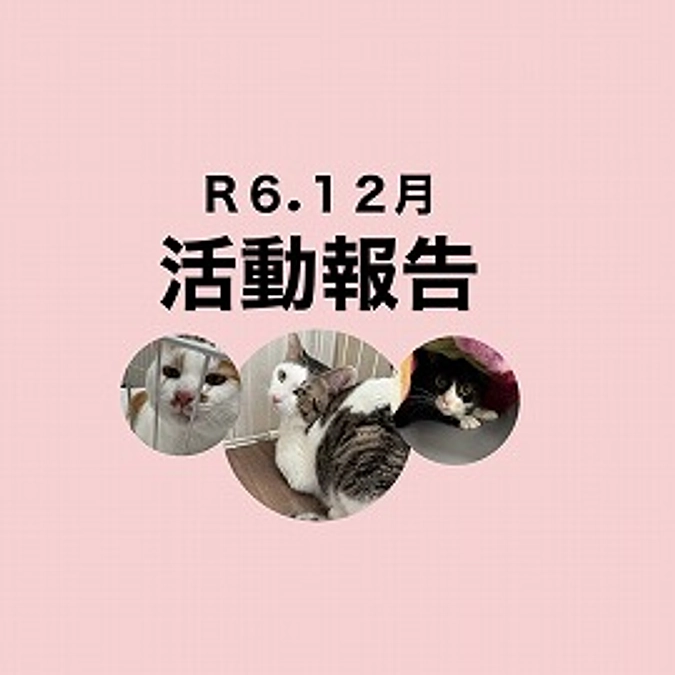 R６．１２月活動報告