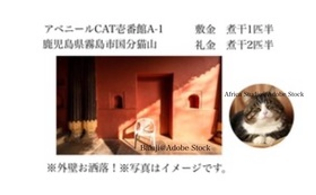保護猫専用アパート仲介業　　　猫山不動産始動応援10000円コース
