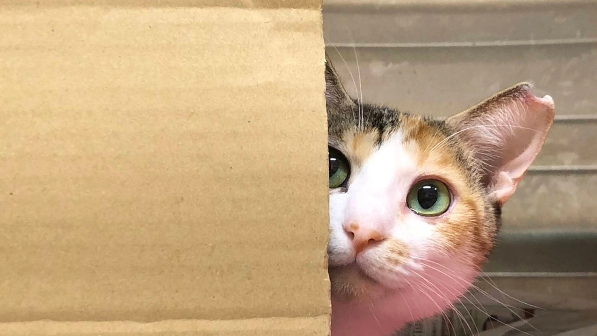 当クラウドファンディングをNHKにてご紹介いただきました！