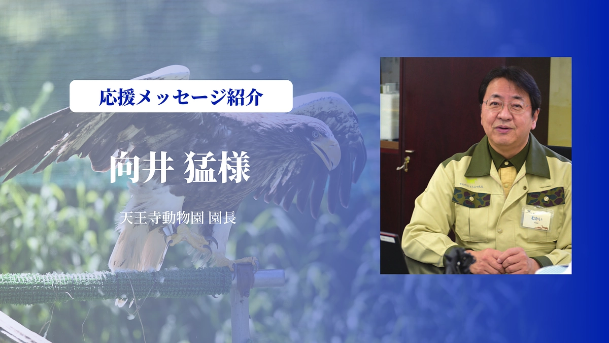 天王寺動物園園長の向井猛さんにメッセージを頂きました