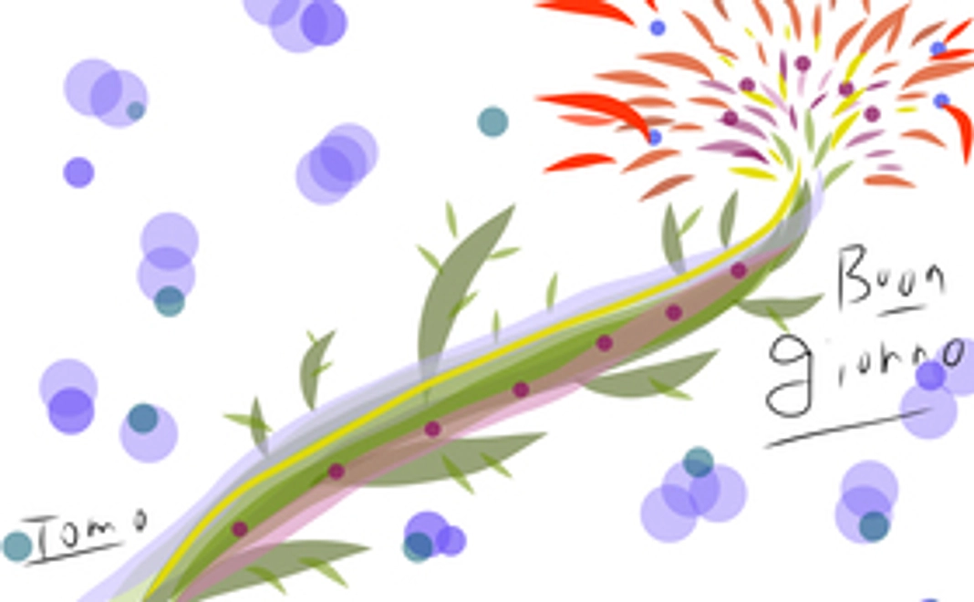 感謝の極上ヘッドスパコース3000円