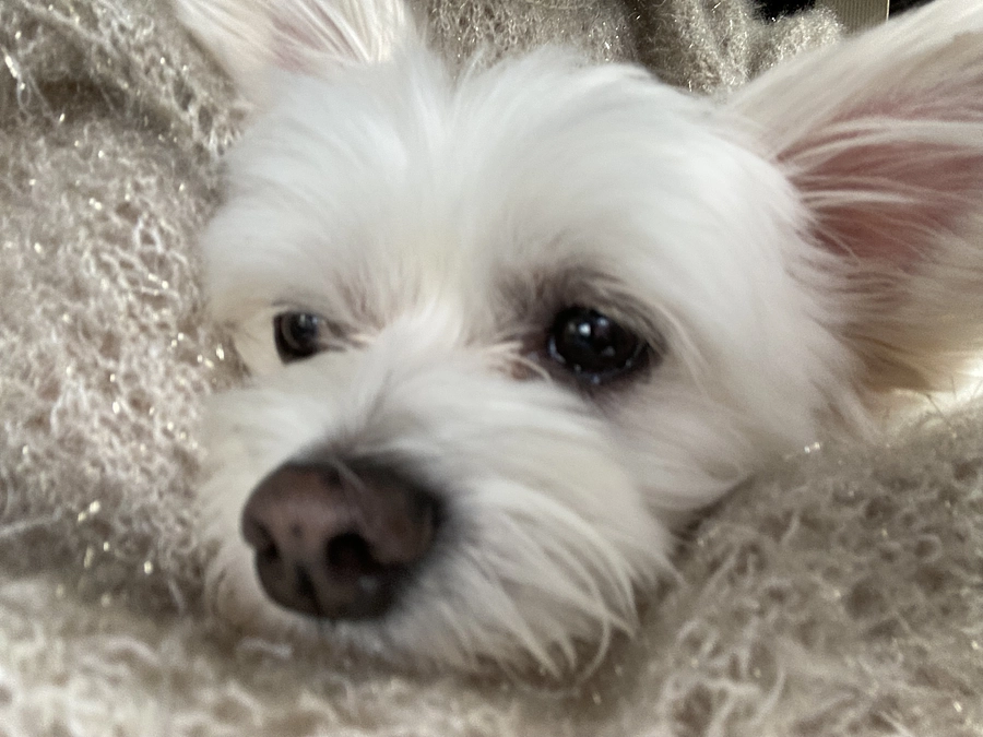 病院での検査結果