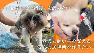 もう捨てさせない。愛犬と飼い主が生涯一緒を実現できる老犬ホームを のトップ画像
