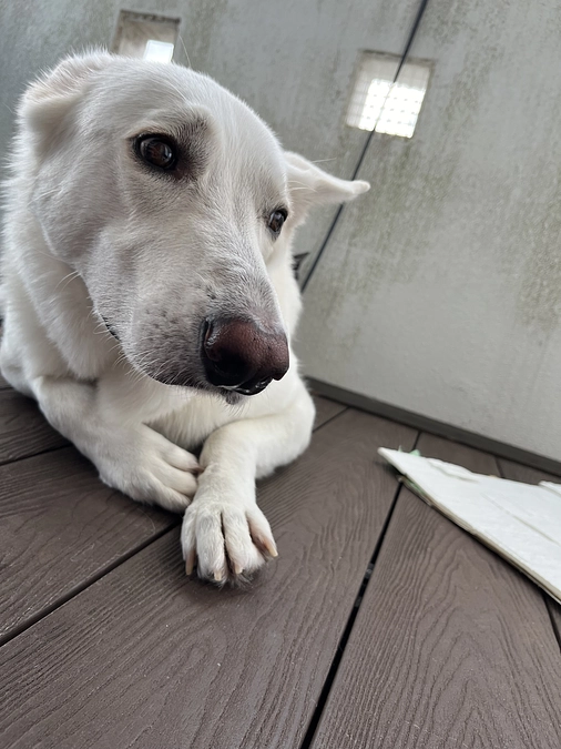 感謝　クラウドファンディング最終日前日