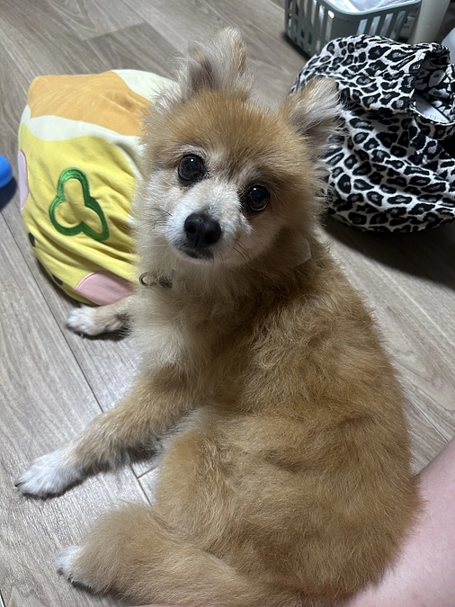 改めまして本当にありがとうございました。明日手術です。