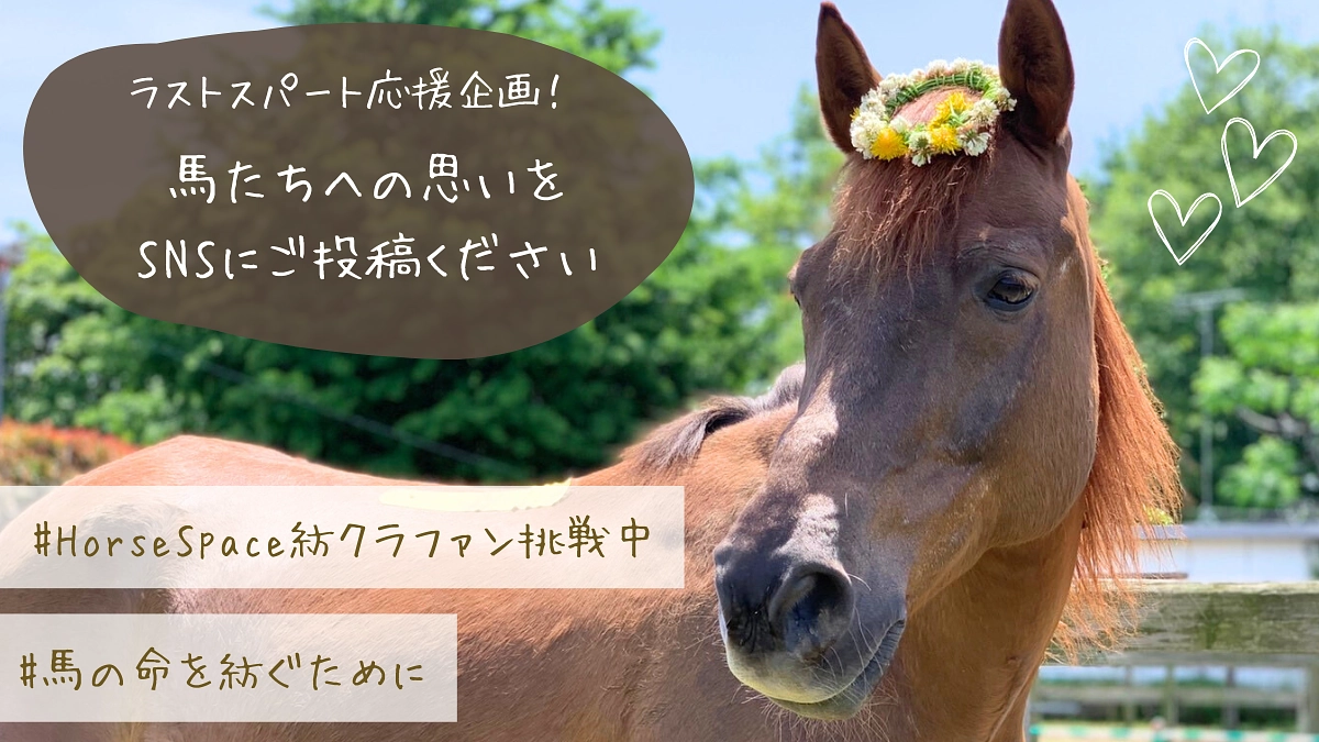 【ラストスパート応援企画始動！】目標達成を目指してハッシュタグ企画に挑戦！皆様のお力をお貸しください