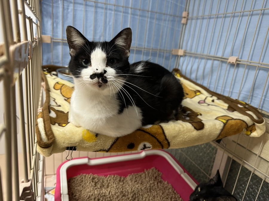 私からご支援くださった皆様に伝えたいこと