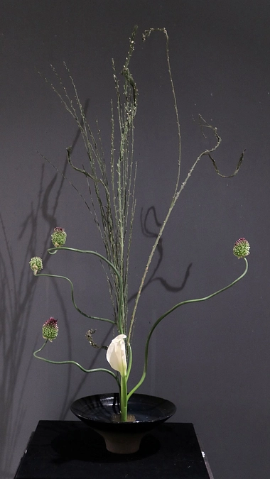 エントリーナンバーA０８