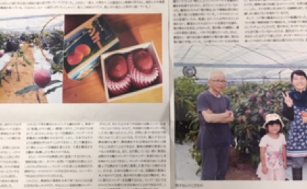 ちょっと気軽に応援コース