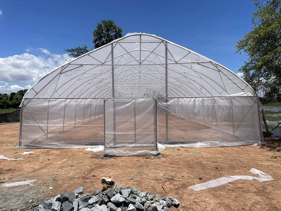大きなグリーンハウス、組み立て完了しました。