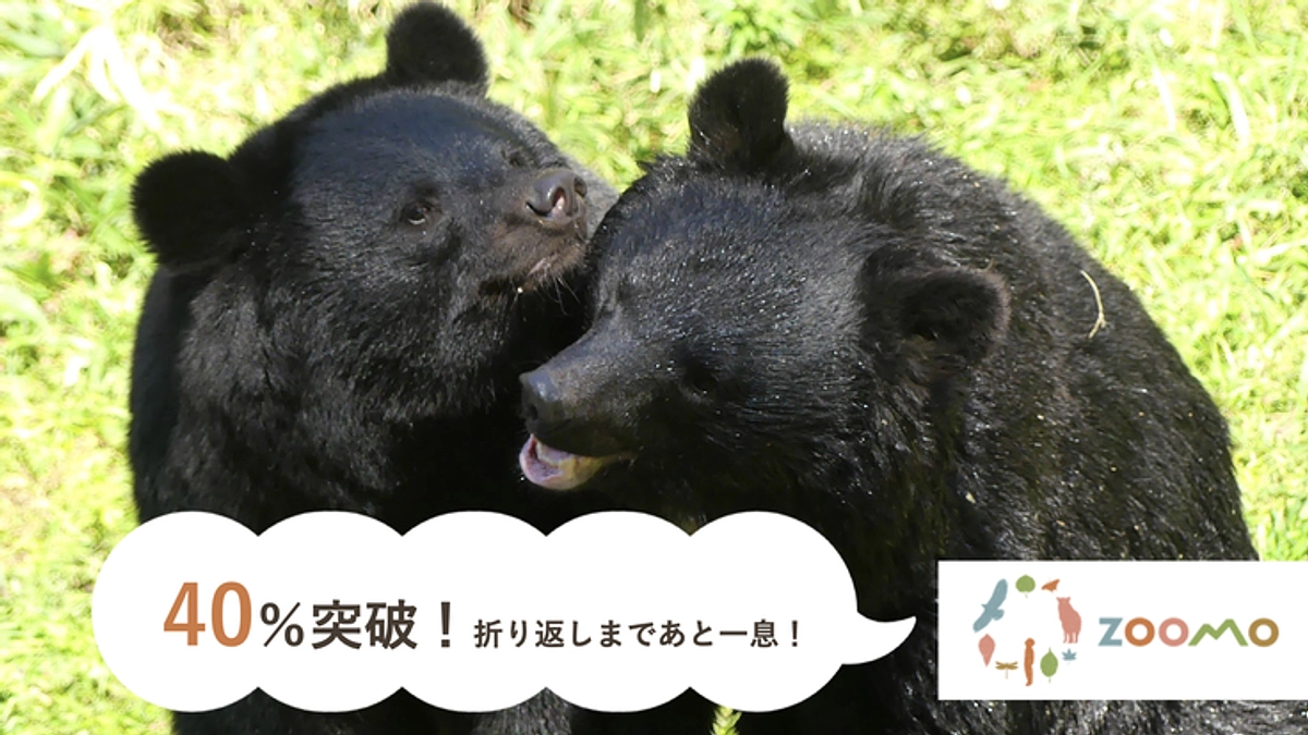 【40%突破！】ご支援の御礼と応援コメントのご紹介第一弾！