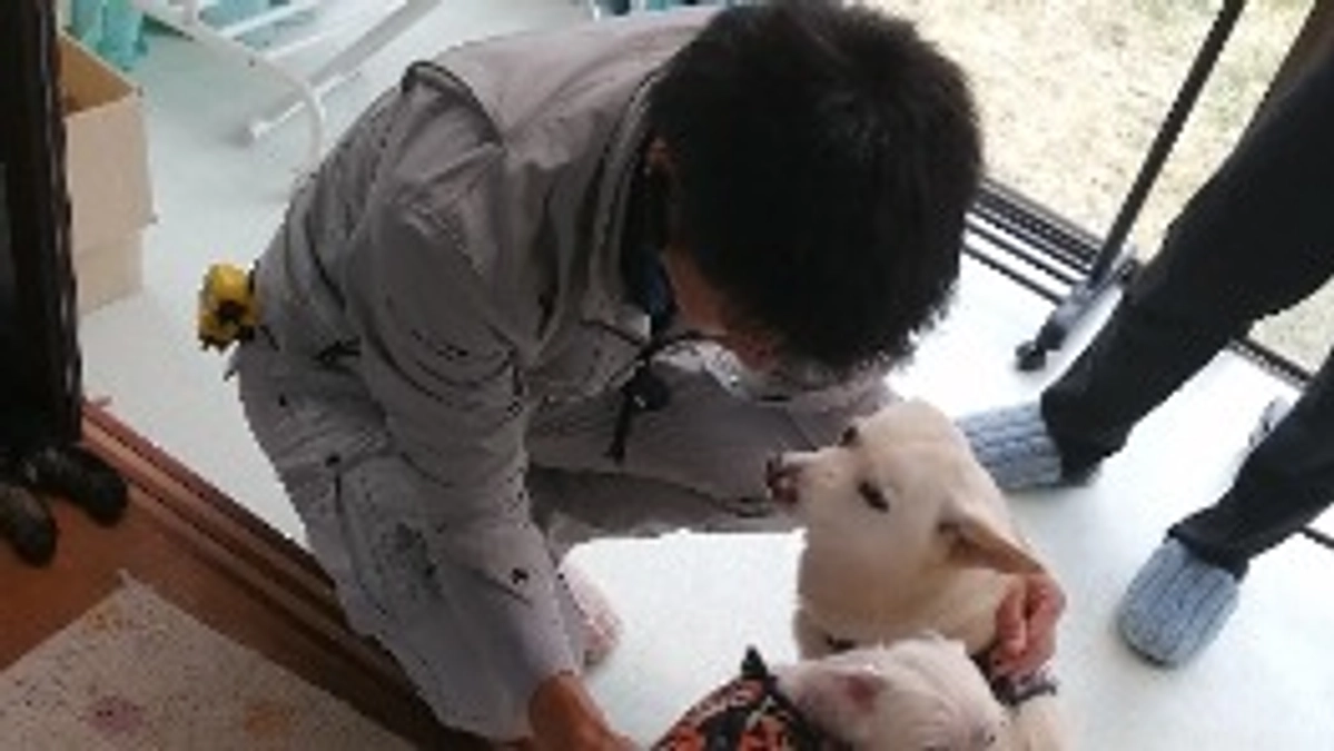 内装工事が始まりました☺