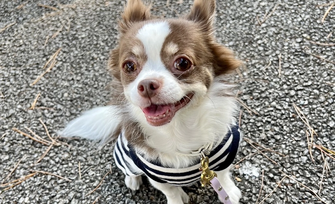 2024.01.15 代理支援反映のご報告☑️