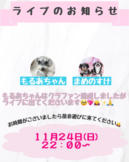 ライブのお知らせ