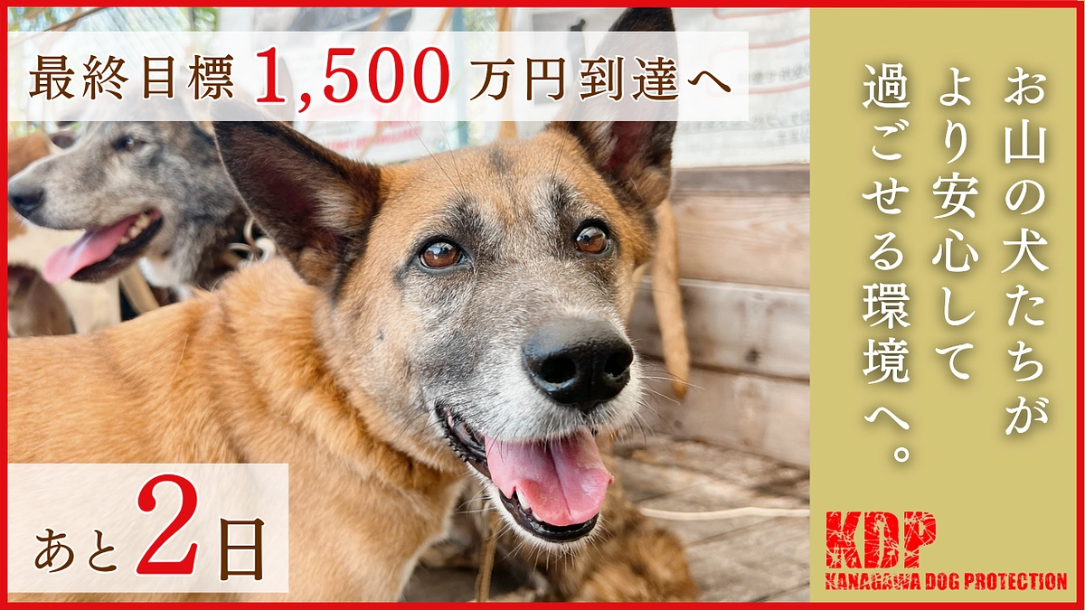 【あと2日！あと50時間】あたたかい応援メッセージのご紹介をします！