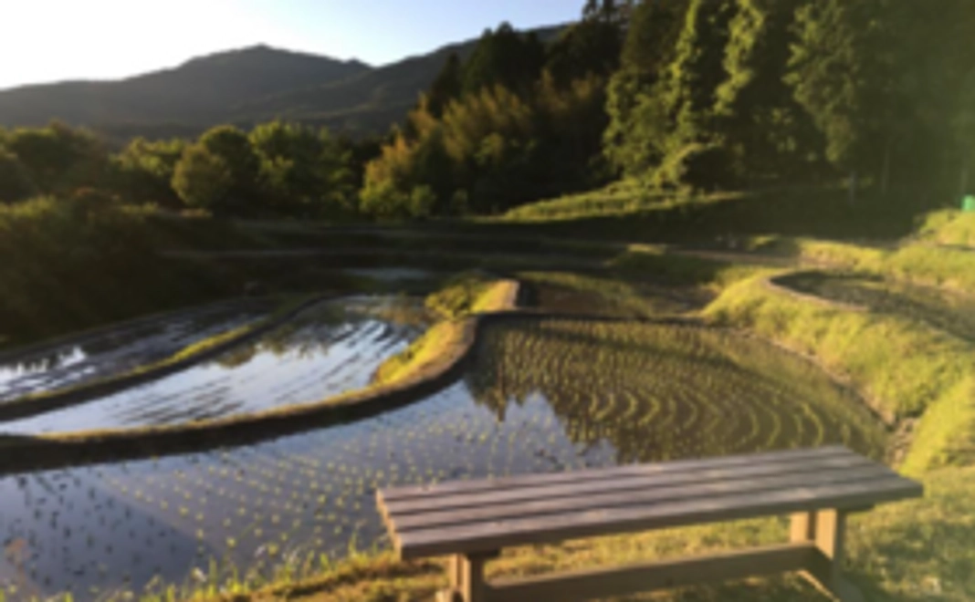 【最後のひと押し！】クレイシ棚田全力応援コース