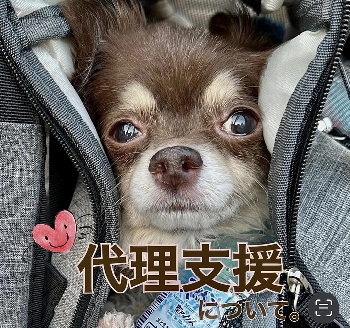 クラウドファンディング残り9日　代理支援について