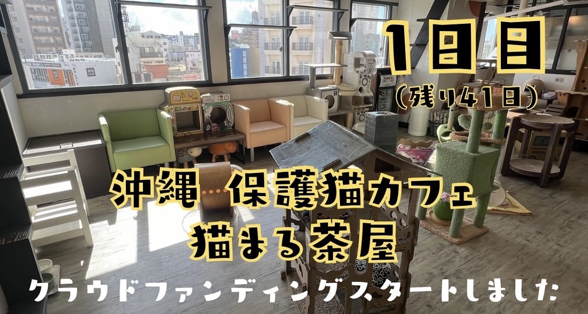 8/20 クラウドファンディングがスタートしました！