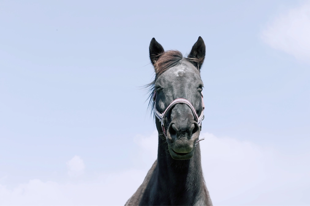 達成致しました！！