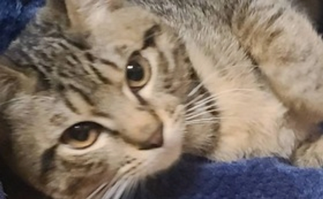 ご支援お願い致します