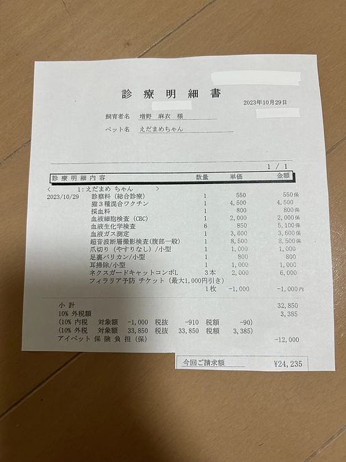 ＊定期検診の明細書＊